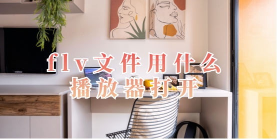 flv文件右键没有打开方式,如何打开flv文件应用