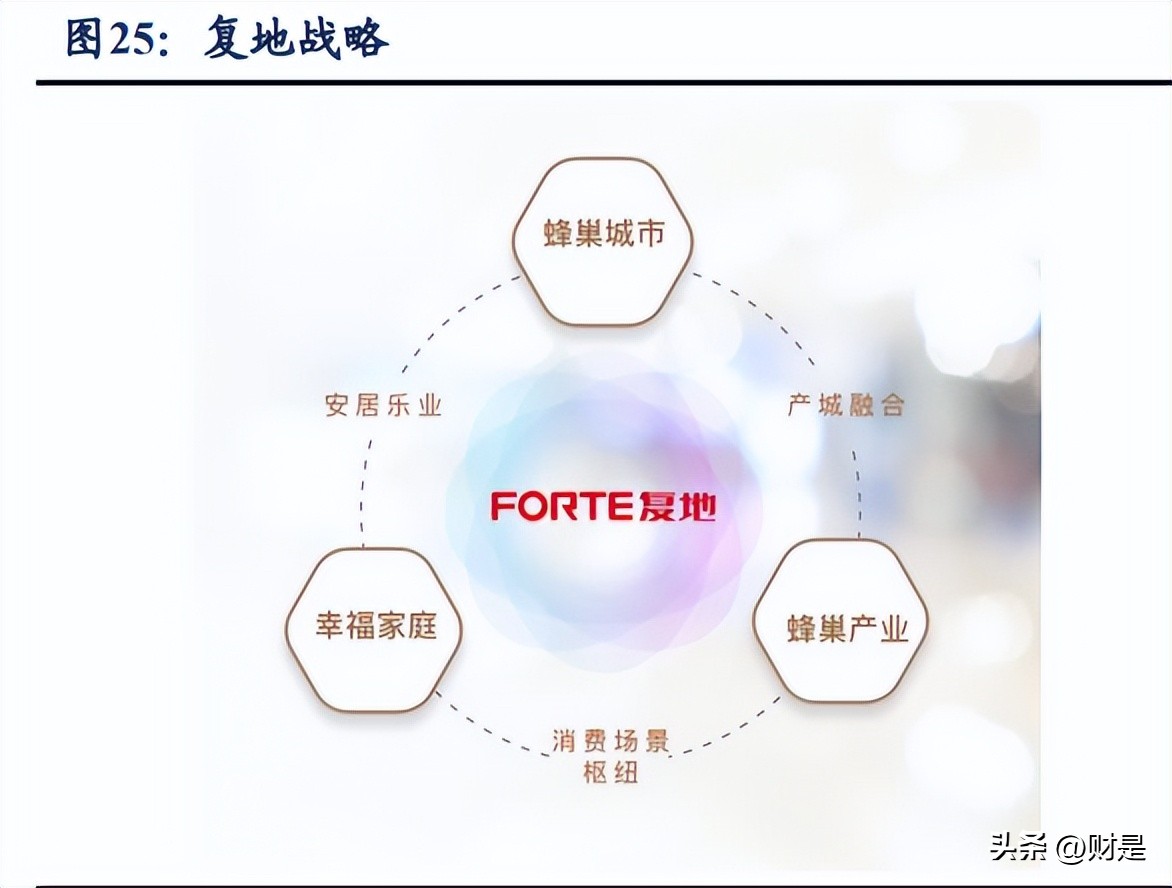 复星国际多元化布局,复星国际战略怎么样