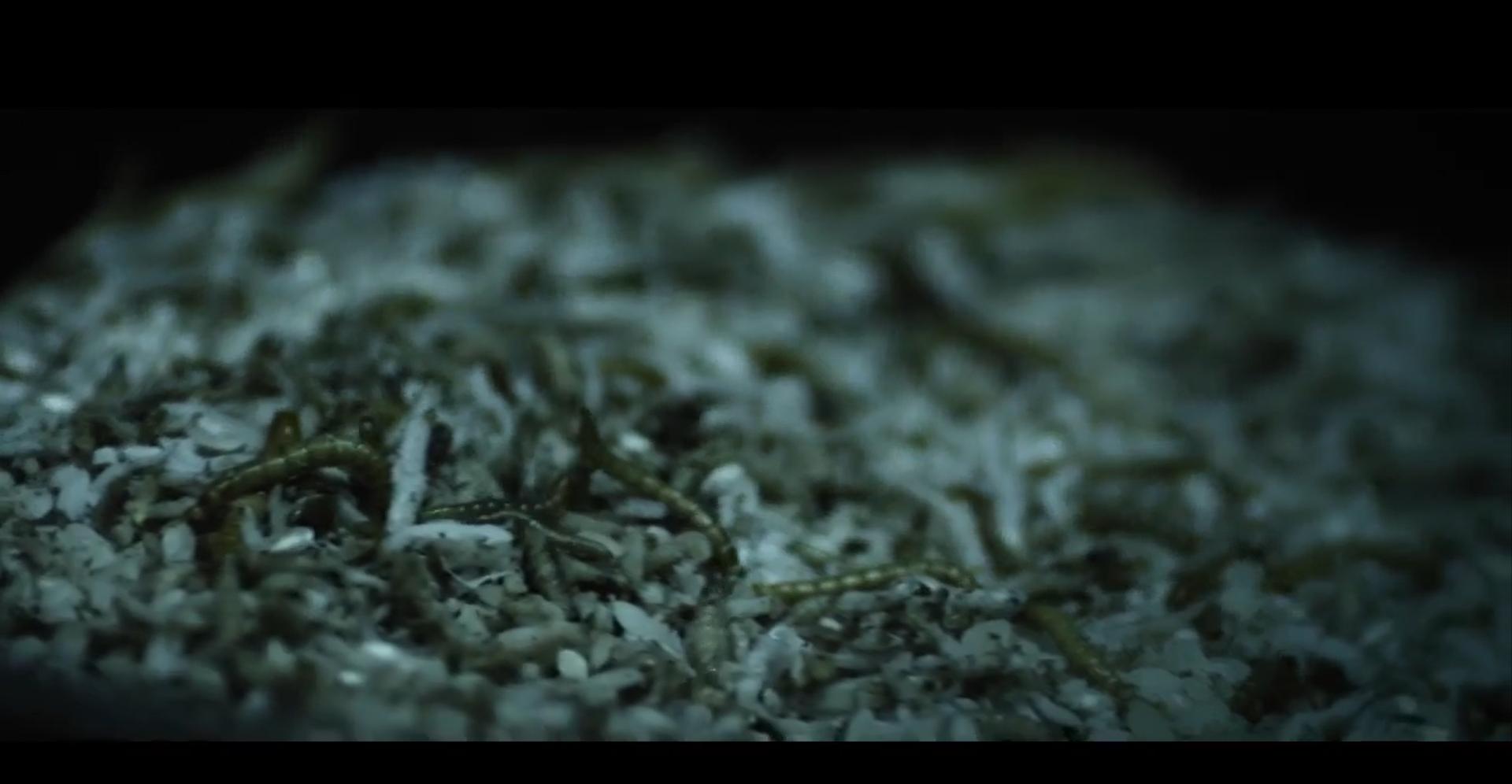 生吃蟑螂！四项金马奖的恐怖神作！一个小女孩就能让人家破人亡