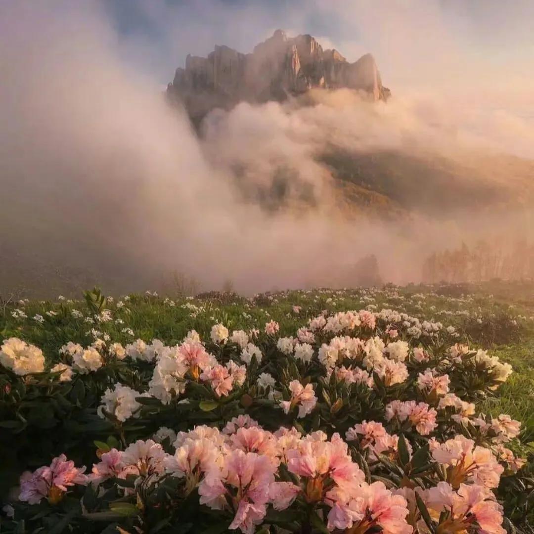 好运朋友圈背景图,勤劳致富背景图人民日报