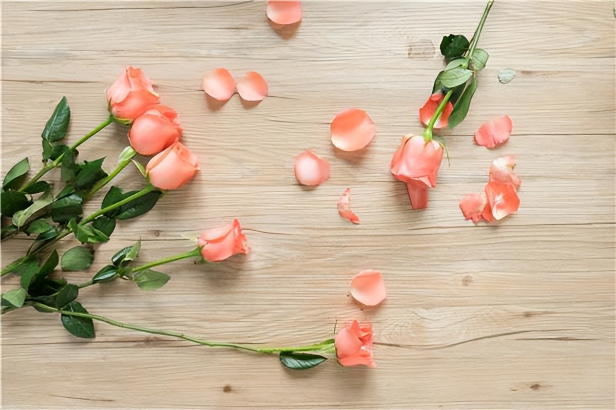 婆婆欺负你该怎么处理,欺负你怎么了原创视频