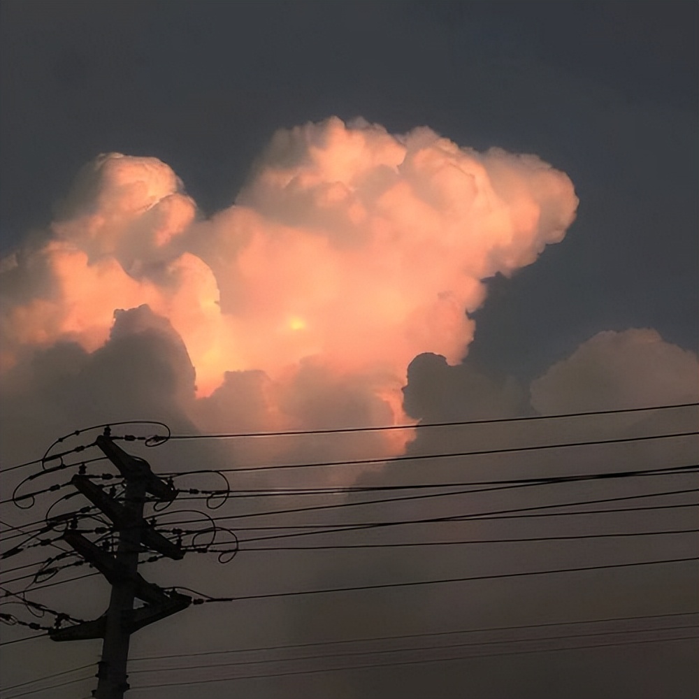 会互相吸引的星座金牛水瓶,分手越久越想前任的星座水瓶座