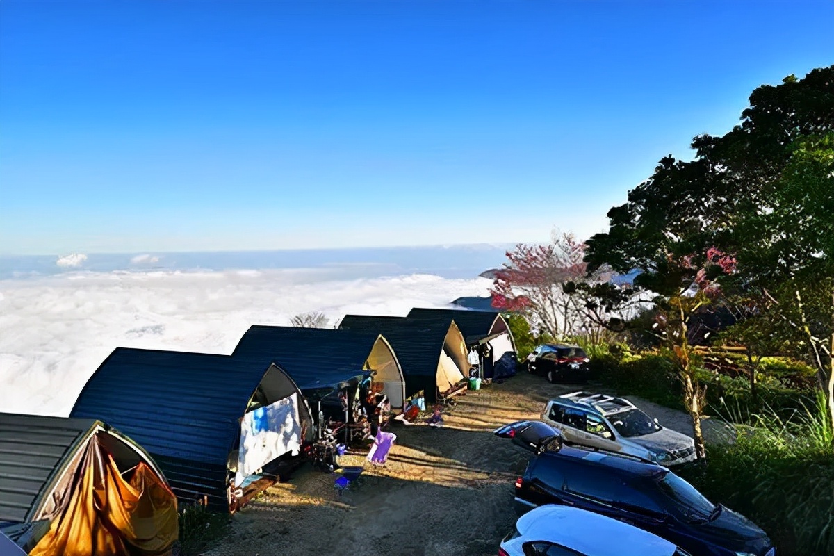 菜吧：采摘、垂钓、认养做不好？这样升级还能找条活路