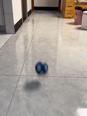 谁懂啊！回南天的养狗人家，惨过住鸡圈！pang臭！