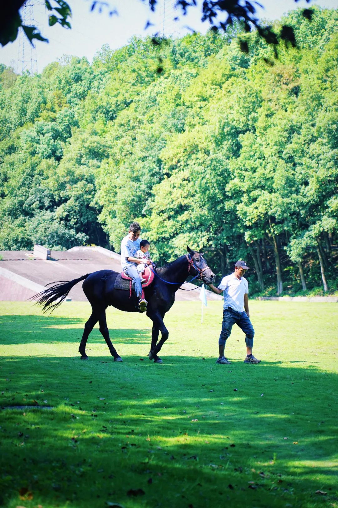 安吉亲子旅游必去的景点,安吉最新亲子旅游度假