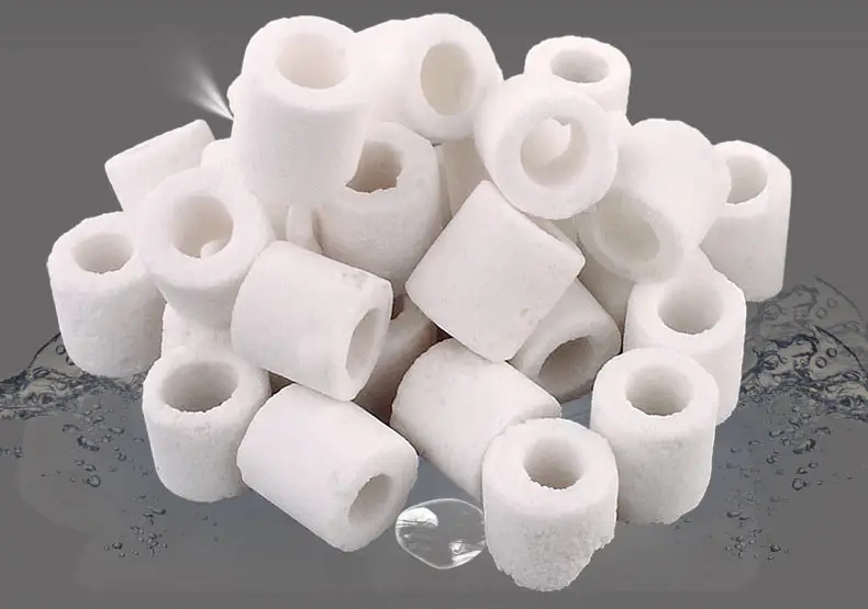 观赏鱼的饲养技巧和注意事项,观赏鱼饲养必备常识