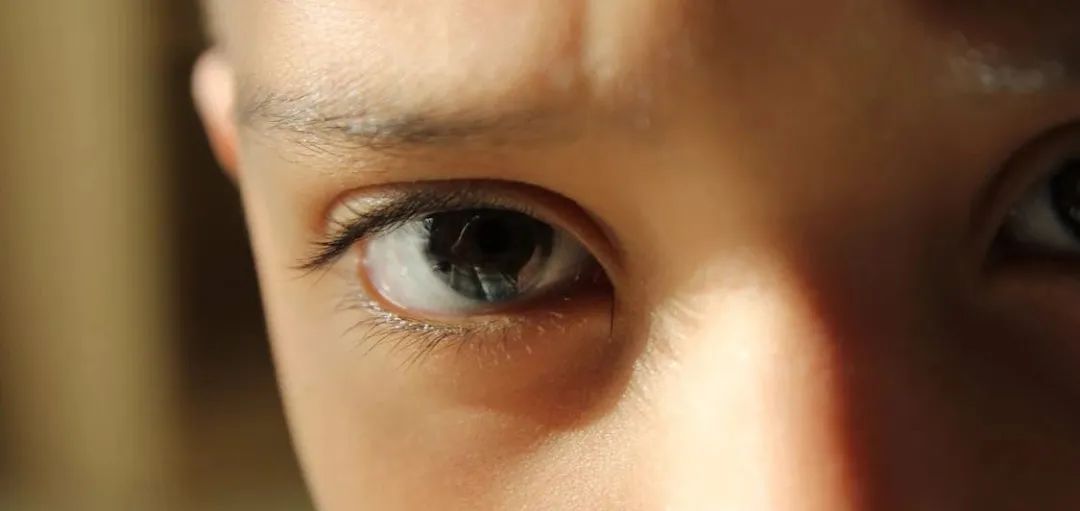 眼睛视力也分主眼副眼吗,眼睛还分主次眼吗