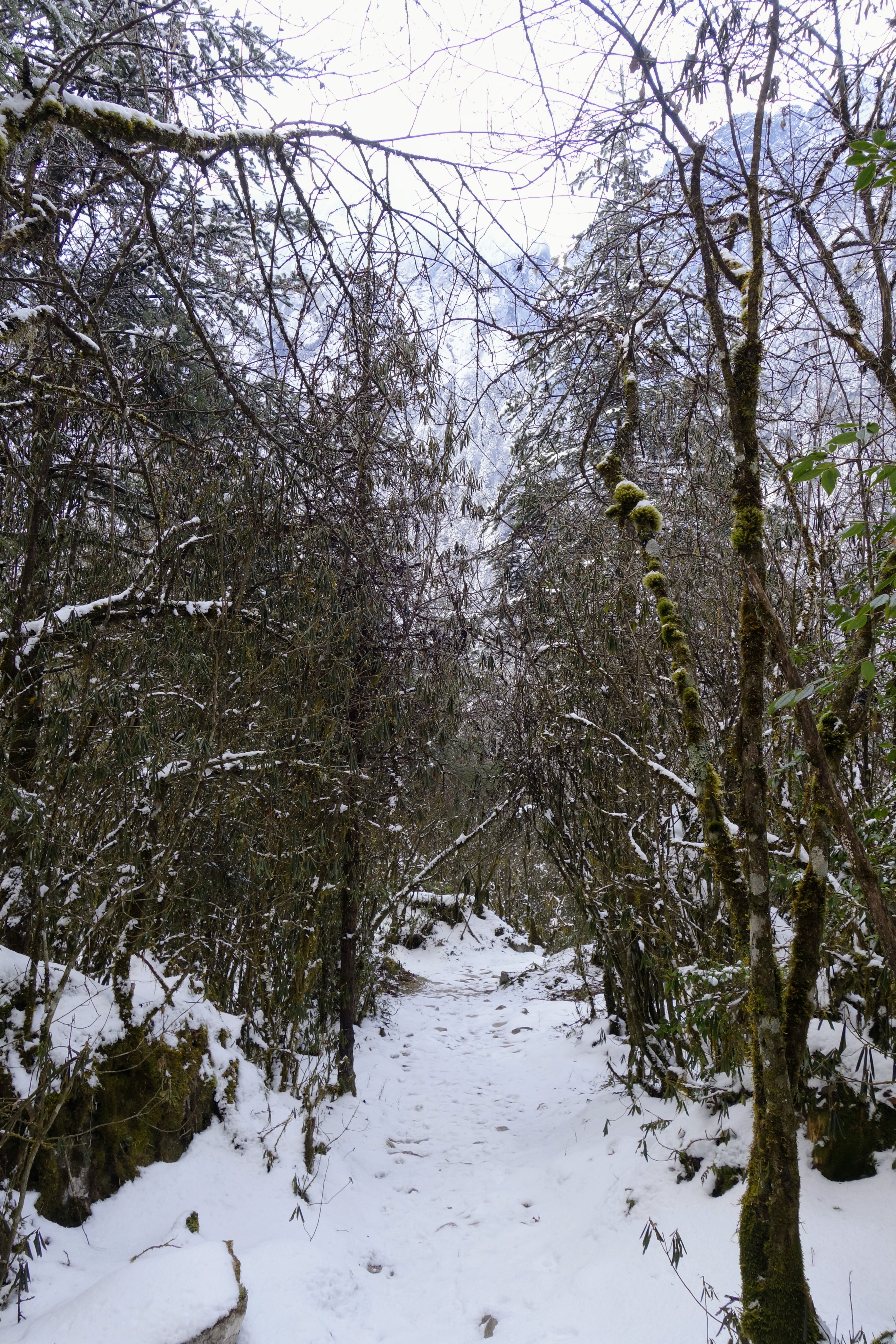 川西圣境游玩攻略,甘孜燕子沟攻略