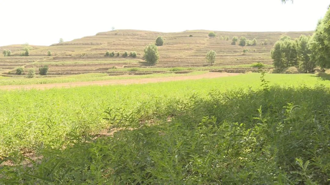 白银生态美景,白银大地山水