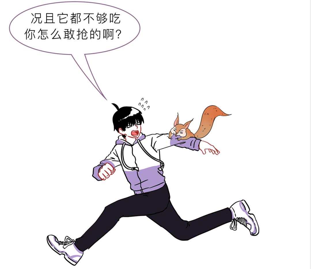 被峨眉山猴子打可以反击吗,峨眉山猴子被人类反杀