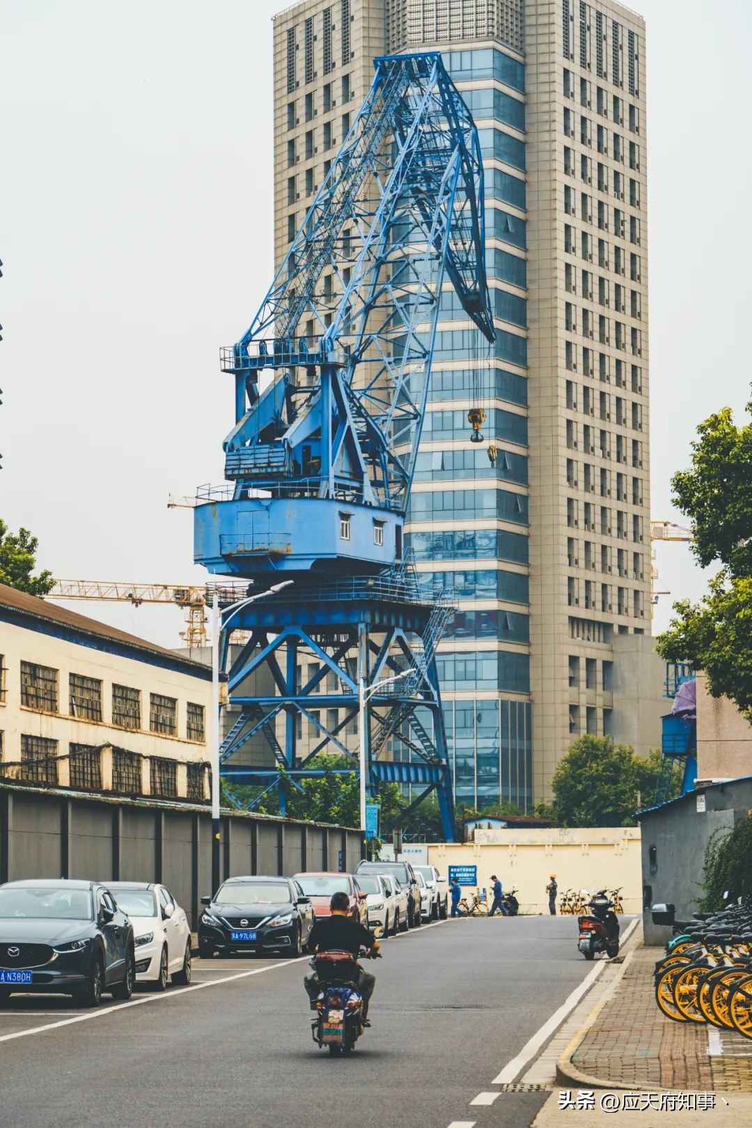 扬州金陵船厂,威海金陵船厂