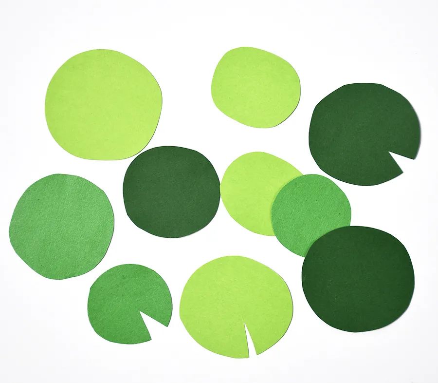 小青蛙呱呱呱,小青蛙