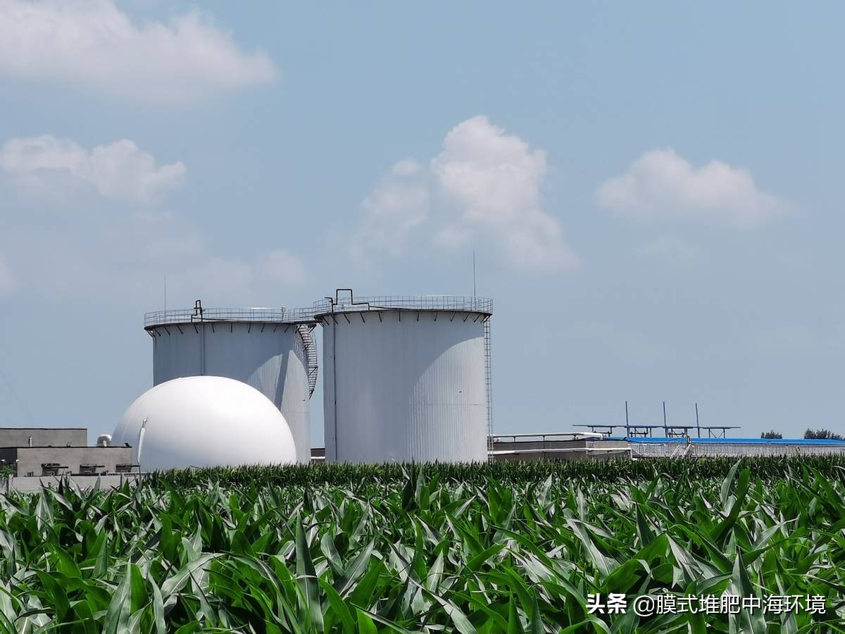 2022年农村创业致富的好项目,2024国家扶持农村的免费创业项目