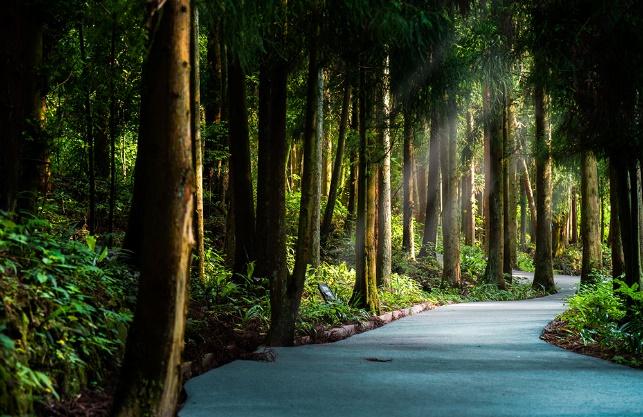 良瑜国际养生谷合院,良瑜国际养生谷别墅户型