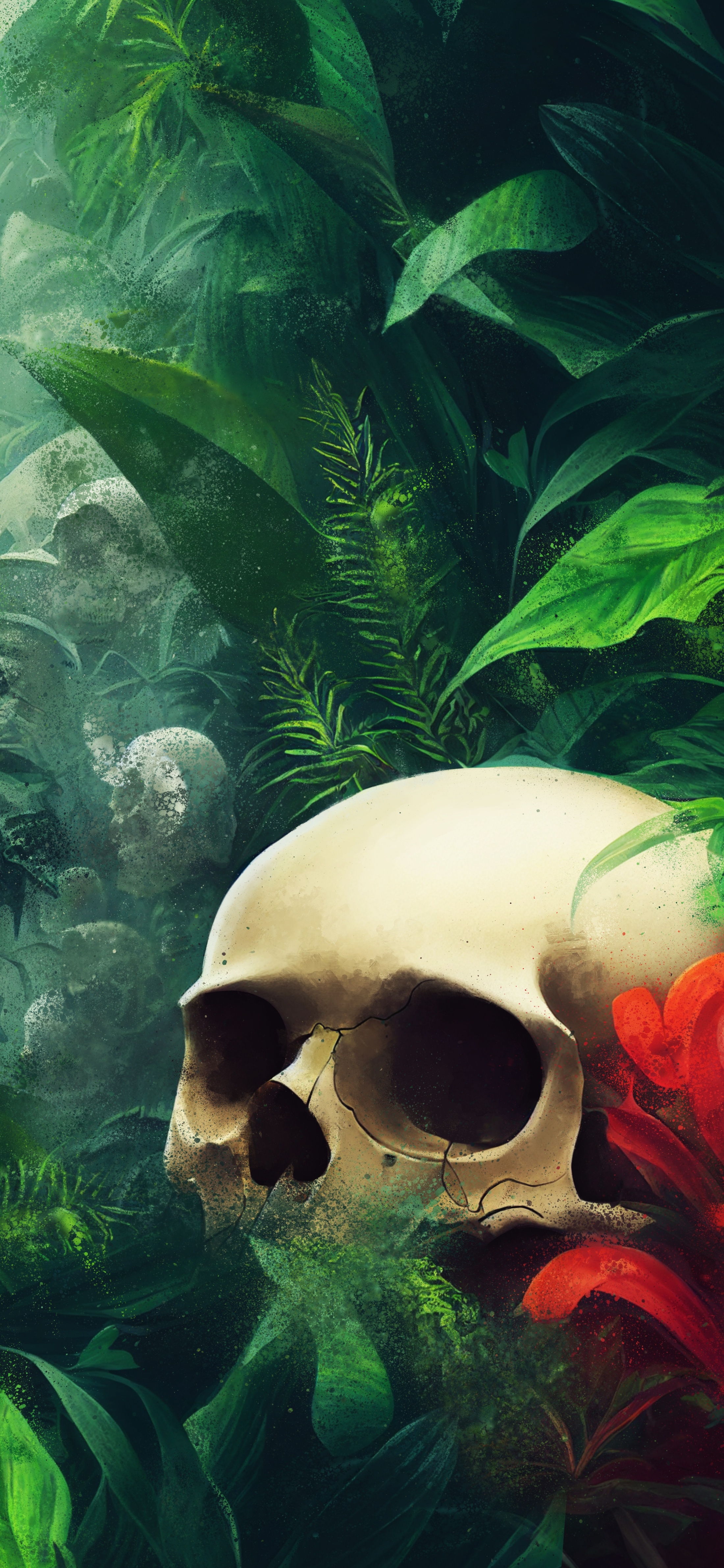 壁纸图集骷髅花,骷髅壁纸超清4k手机壁纸