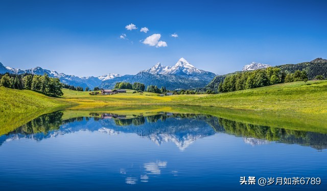 如何提高政治能力发言材料,如何提高发言能力和思路的方法