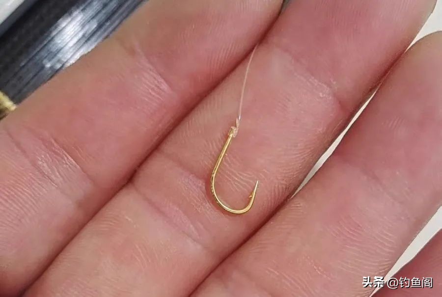 总是顶漂却没有中鱼是怎么回事,有漂相提竿不中鱼什么原因