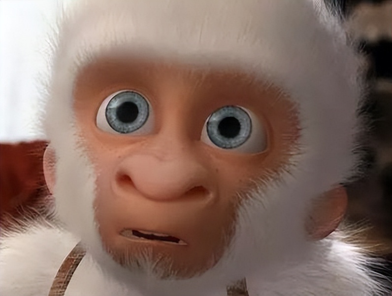 电脑的域名和ip地址在哪里看,域名服务器地址和ip地址的区别