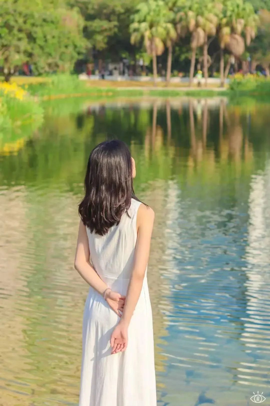 深圳地铁五号线十号线游玩地点,深圳地铁12号线最新最全线路图