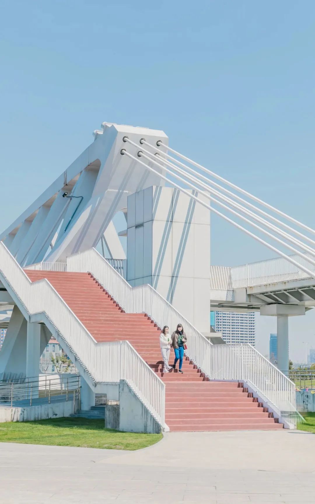 上海周末骑行好去处,上海周边适合春天骑行的地方排名