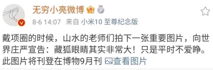 搞笑动物头像沙雕图片,搞笑图片沙雕图片