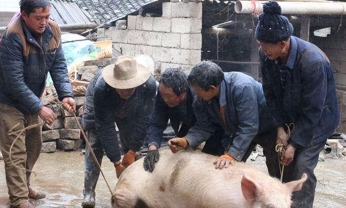 猪脖子的淋巴人吃了会怎么样,猪脖子淋巴肉吃了会怎么样