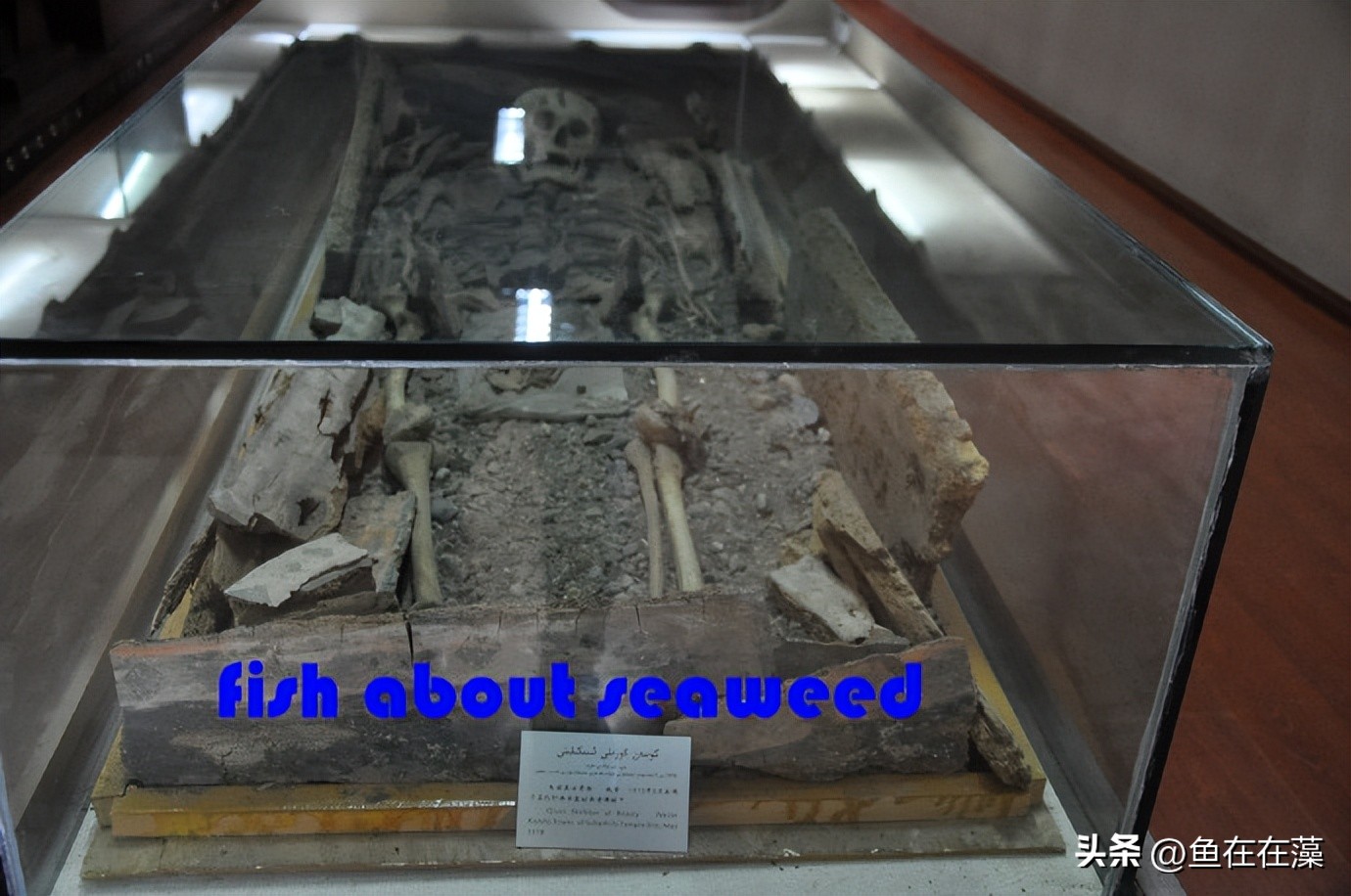 55西进西域·新：库车王府，龟兹文明的橱窗；清代边疆政策范本