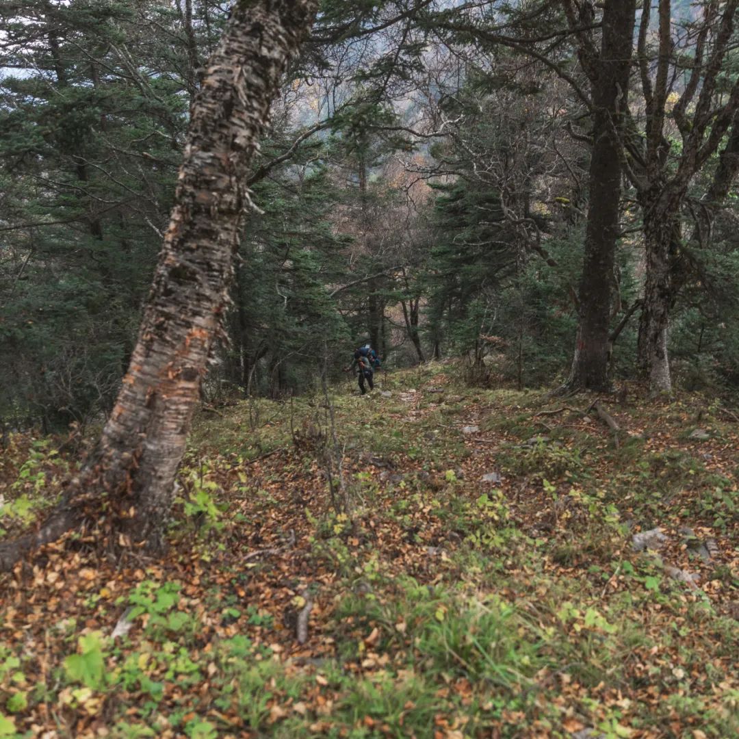 太白山是陕西最高点吗,秦岭最高峰太白山