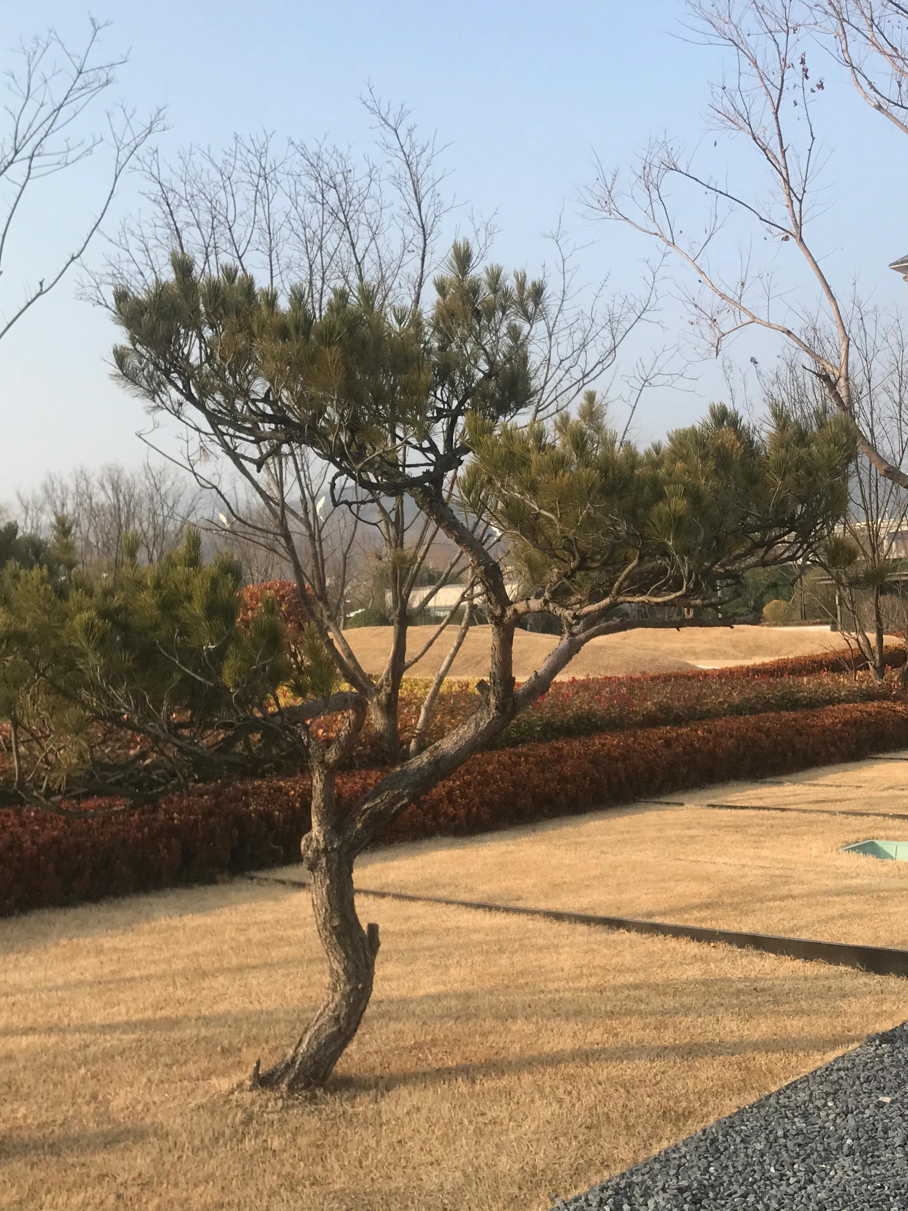 辨别方向的方法视频,辨别方向的方法有哪些