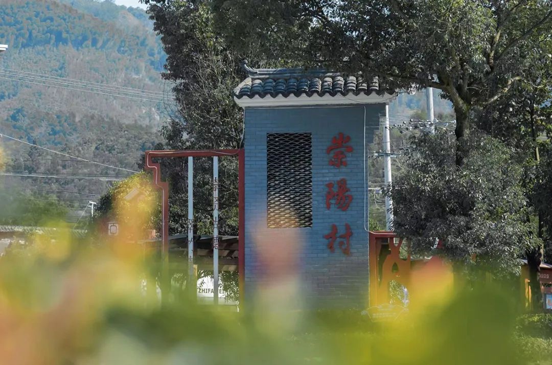 竹笋成熟采收忙村民增收致富乐,竹乡临安春笋批量上市