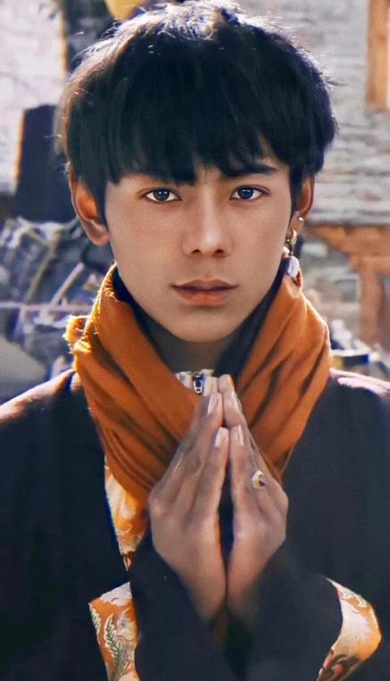 说出15个川渝地区的男明星,巴蜀美男子