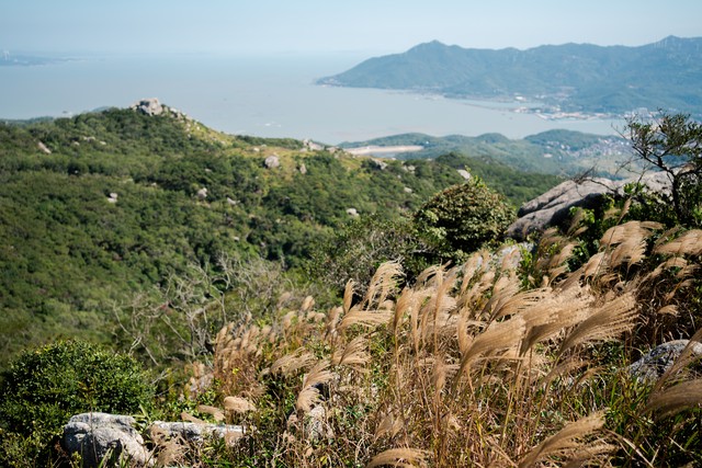 “自我”就是烦恼，只因我们的内心缺失一个强大的主宰——天道