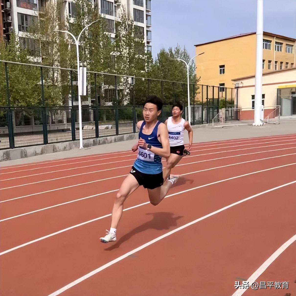 校园竞技,校园赛场青春激扬活力四射