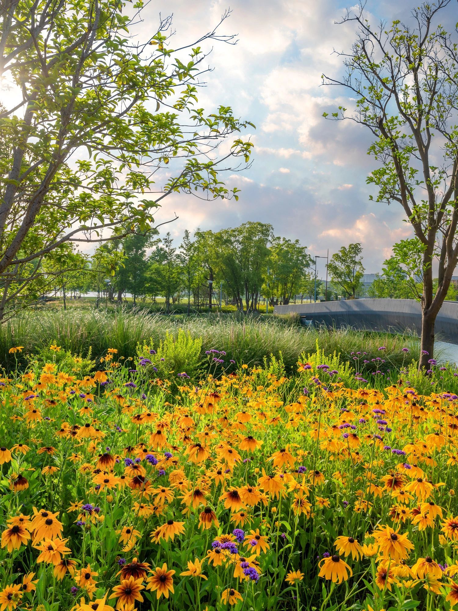 上海的五处免费打卡地在哪里,上海网红打卡地免费