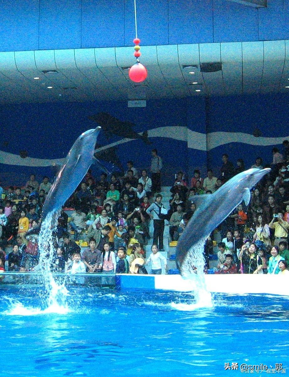 大连旅游必去景点推荐旅游攻略,大连旅游必去景点大连旅游攻略