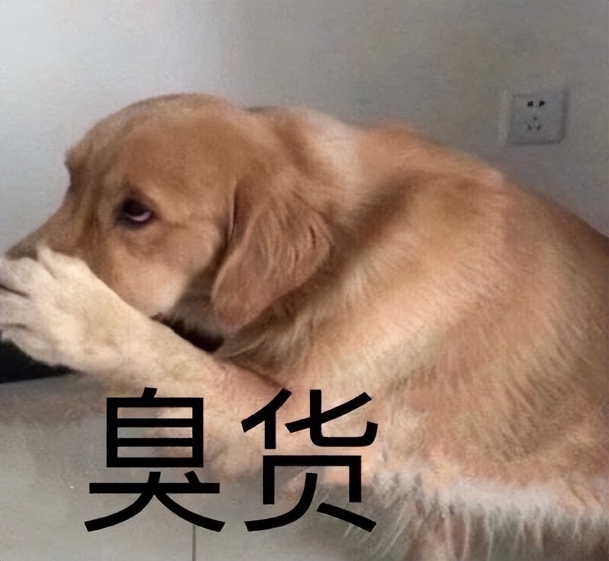 为什么狗狗会有口臭,狗狗为什么有狗味