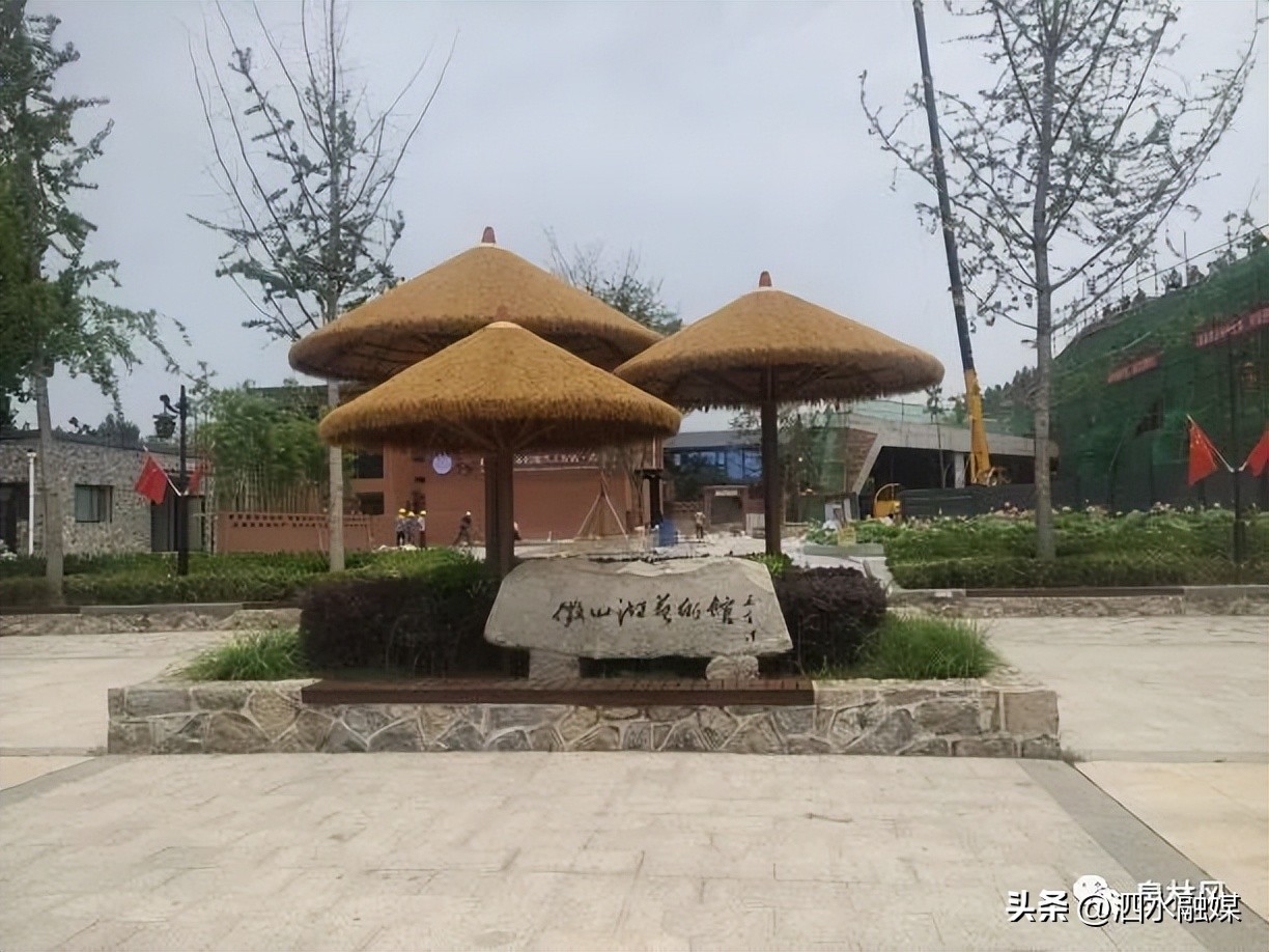 【交流学习促发展乡村振兴拓思路】泉林镇七一建*党**节组织村*党**支部赴先进乡镇乡村振兴示范村进行观摩学习