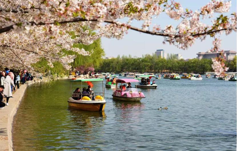 清明小长假去哪儿最全旅游攻略,清明10条精品旅游线路