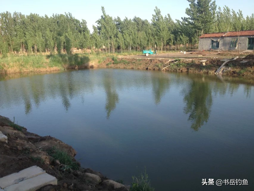 什么饵料钓鱼被禁止用了,钓鱼被老板禁用饵料