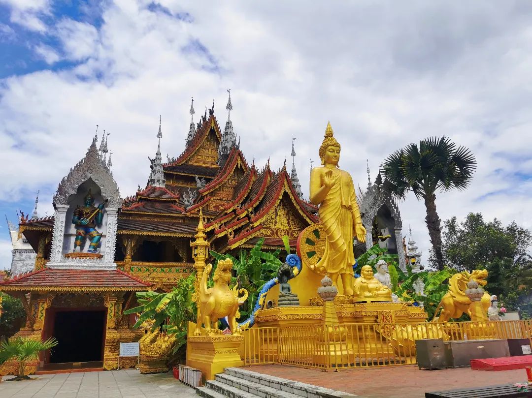 西双版纳七天六夜攻略,西双版纳五天六夜之旅完美结束