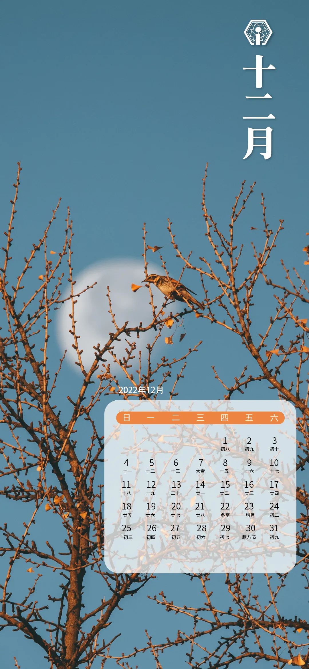 2023新年绝美壁纸,2022新年唯美图片壁纸