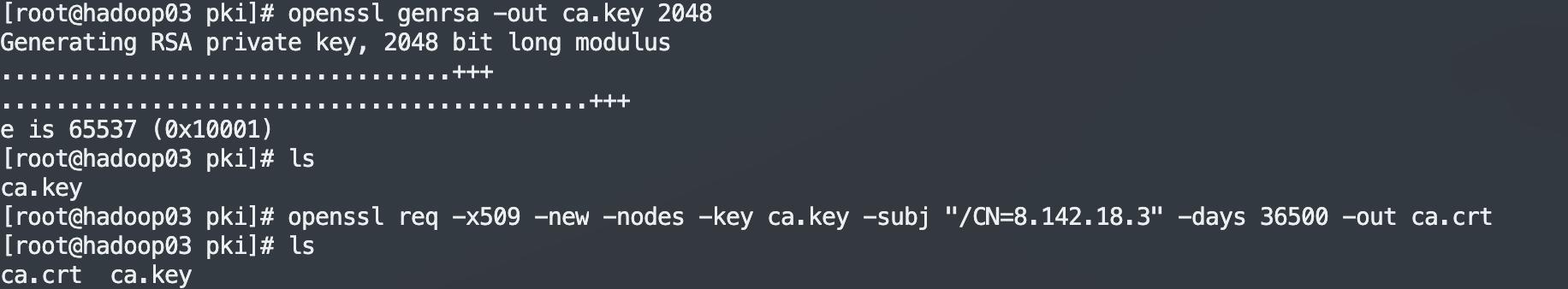 自签名证书和ca证书,制作自己的专属签名