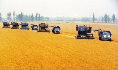 农业技术发展现状中的不足,现代农业技术发展现状和前沿