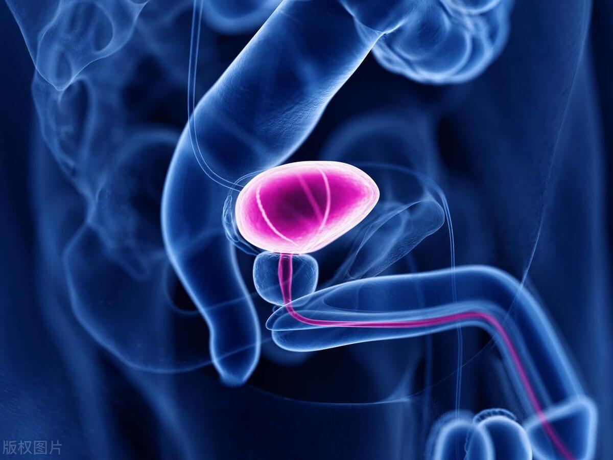 吃完饭就想上厕所，提醒：每个「直肠子」都要注意这5种疾病