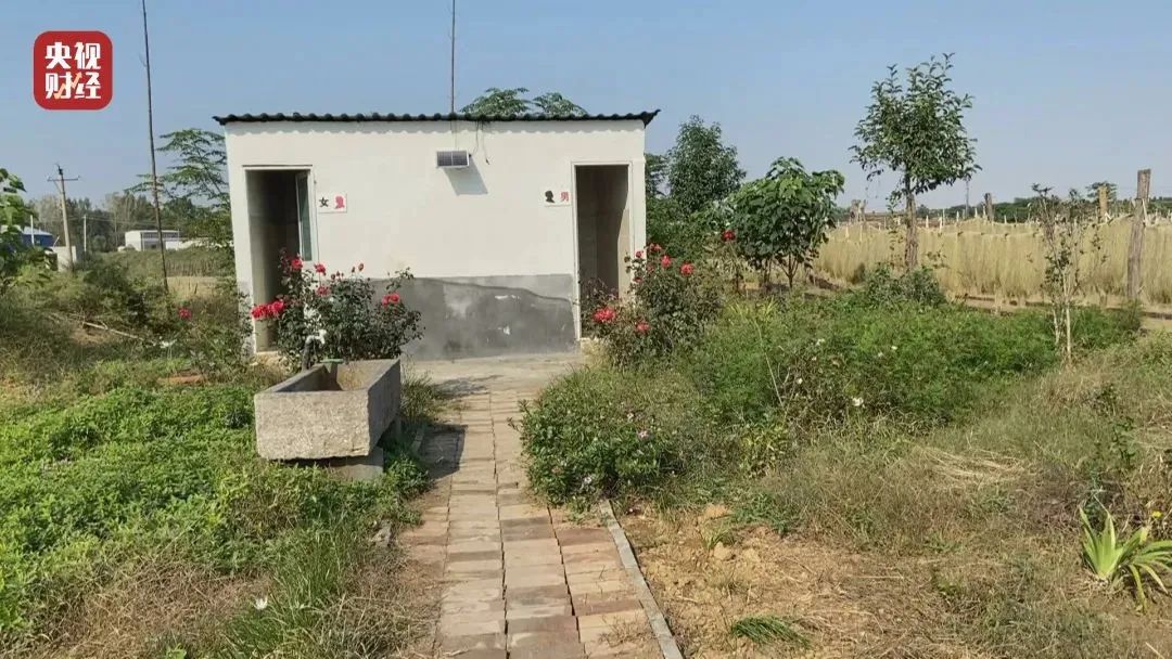 邓伦*税逃**，只是开始，更恶心的在后面