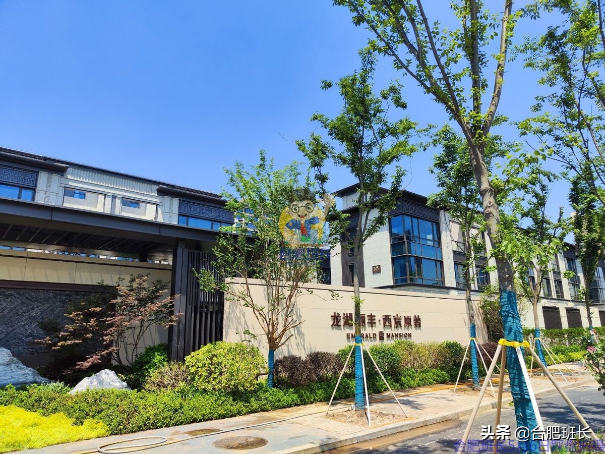 蜀山区和经开区有啥区别,经开区蜀山区哪个更好