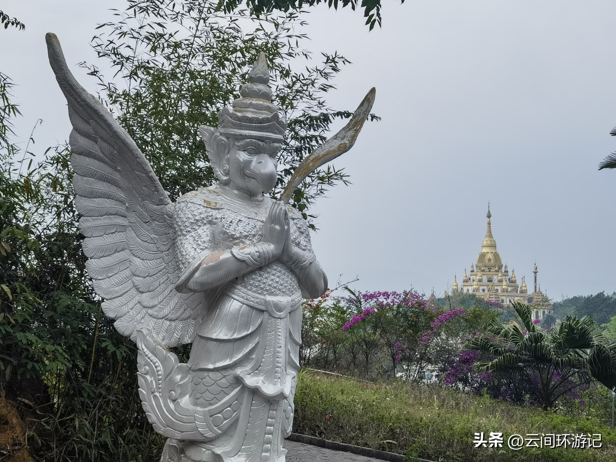 缇庝附寰峰畯娴极涔嬫梾,婕父寰峰畯