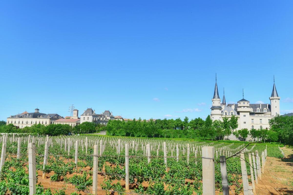 中国最好的葡萄酒产地是贺兰山吗,中国十大葡萄酒品牌和产地是哪里