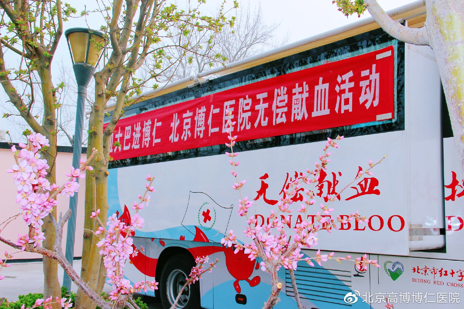 那些被病魔缠身的人,那些被病魔折磨的人