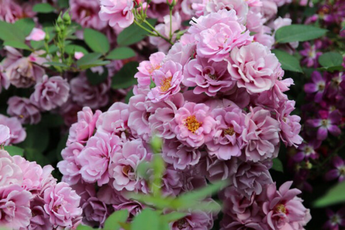 高深莫测善于驾驭人心的三大星座,抓住另一半软肋的星座